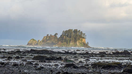 Olympic National Park 