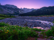 Mount Rainier National Park