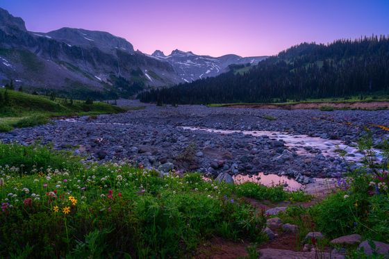Mount Rainier National Park