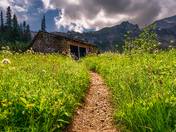 Mount Rainier National Park
