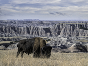 Badlands National Park