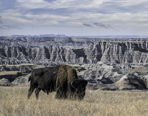 Badlands National Park