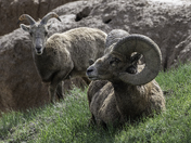 Bandlands National Park