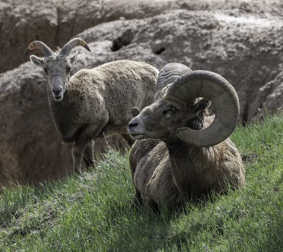 Bandlands National Park