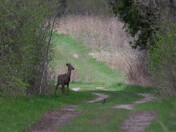 Entrance To Another World