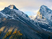First Light on the Larches