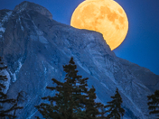 Harvest Moon Over Vermilion Lakes!