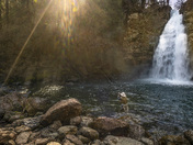 Shasta-Siskiyou National Forest
