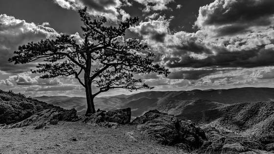 Blue Ridge Parkway