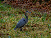 Cuyahoga Valley National Park