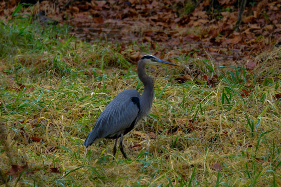 Cuyahoga Valley National Park