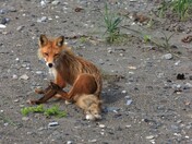 Lake Clark National Park