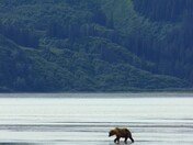 Lake Clark National Park