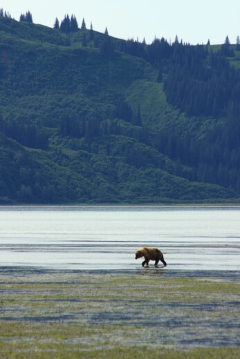 Lake Clark National Park