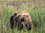 Lake Clark National Park
