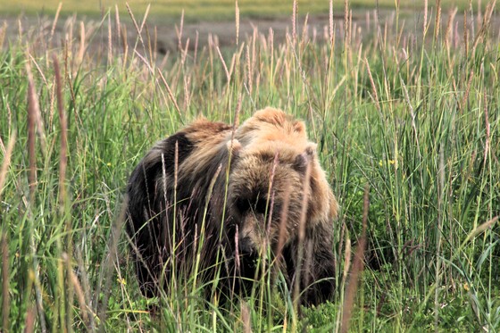 Lake Clark National Park