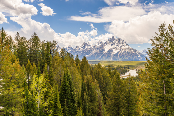 Grand Teton National Park