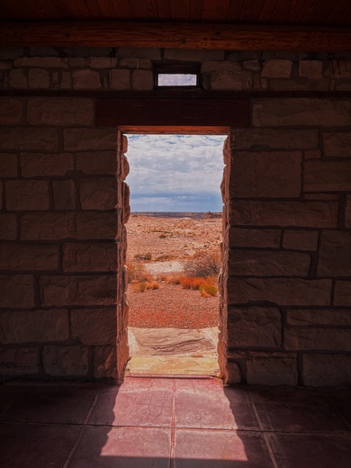 Petrified Forest National Park 