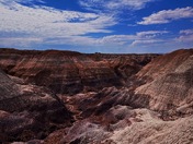 Petrified Forest National Park 