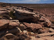 Petrified Forest National Park