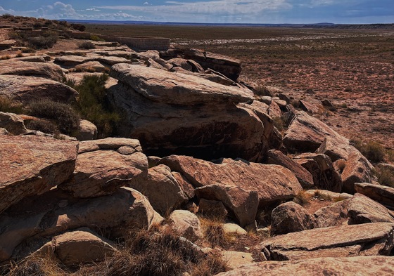 Petrified Forest National Park