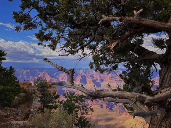 South Rim Trail Grand Canyon