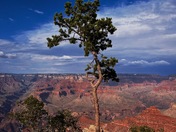 Grand Canyon South Rim 