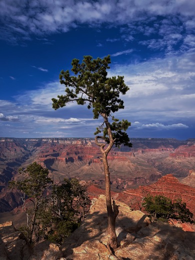 Grand Canyon South Rim 