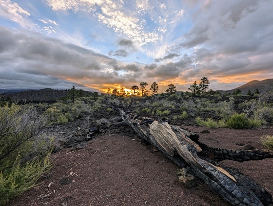 Sunset Crater Volcano National Monument 