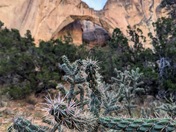 El Malpais National Monument