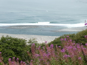 Redwood National Park