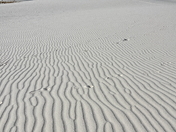 White Sands National Park