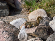 Getting Ready for Winter