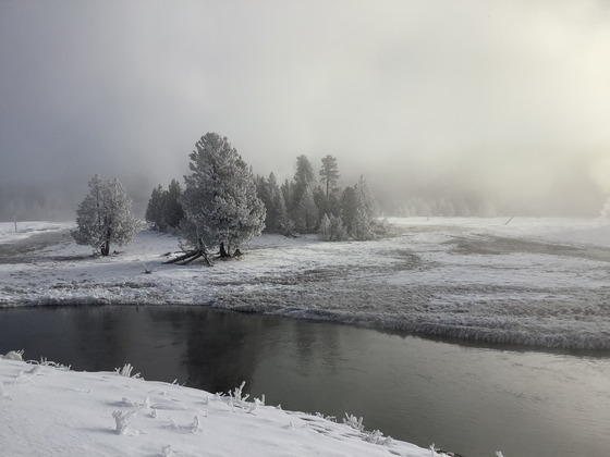 Yellowstone