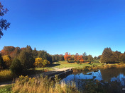 Fall comes to the golf course
