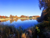 Fall comes to the golf course