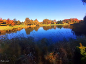 Fall comes to the golf course
