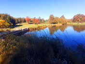 Fall comes to the golf course
