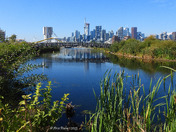 New Park at the foot of the Don River