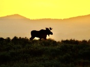 Grand Teton National Park