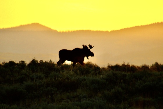 Grand Teton National Park
