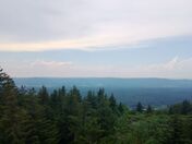 Dolly Sods Wilderness in the Monongahela National Forest