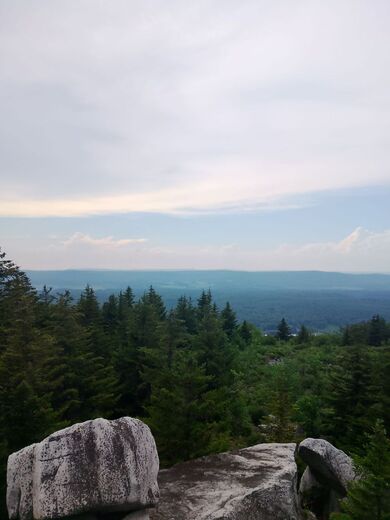 Dolly Sods Wilderness in the Monongahela National Forest
