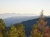 Carson National Forest