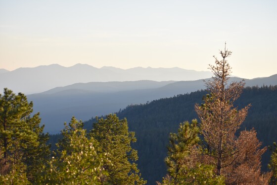 Carson National Forest
