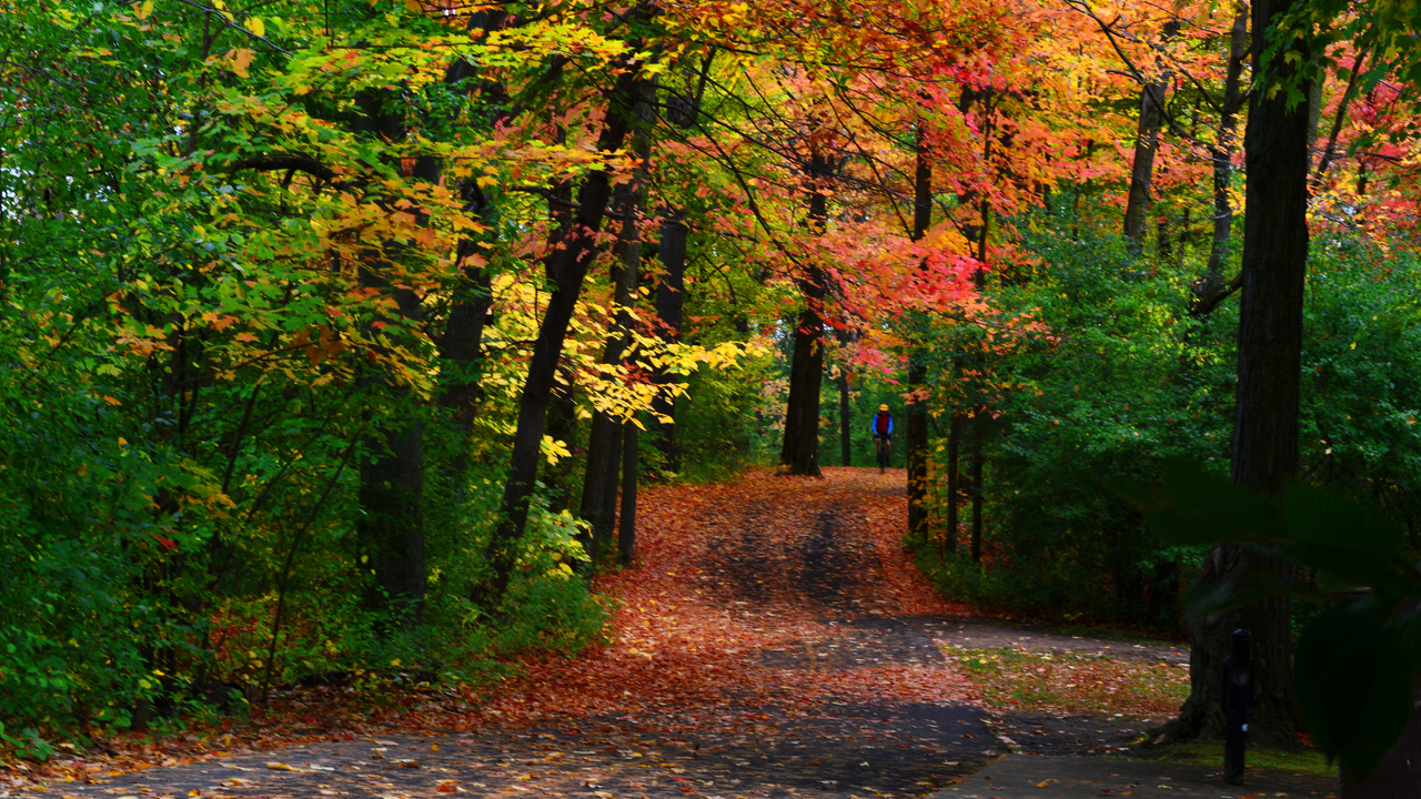 Ottawa park