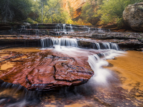 Zion National Park 