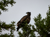 Waiting For The Right Moment