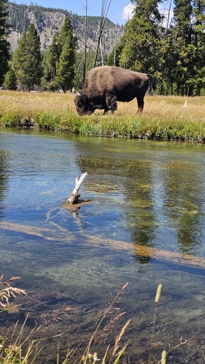 Yellowstone National Park