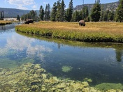 Yellowstone National Park